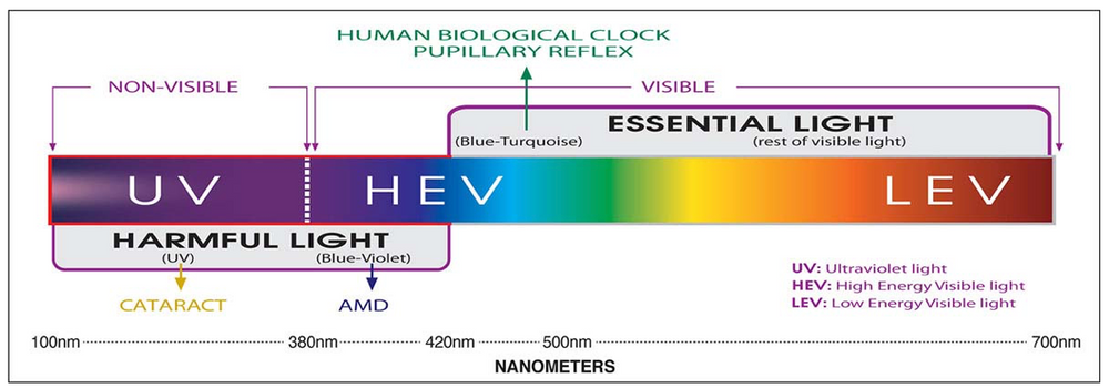 Is BLUE Light Dangerous? If so, why do LED masks use BLUE Light? - treatment image