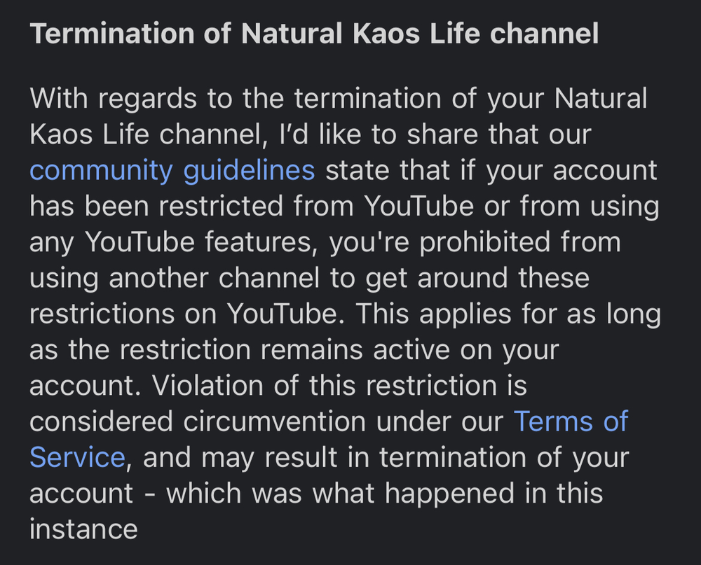 YouTube Terminated My Family Channel, this feels very personal - treatment image