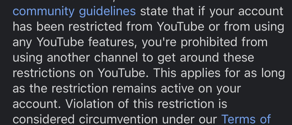 YouTube Terminated My Family Channel, this feels very personal - treatment image