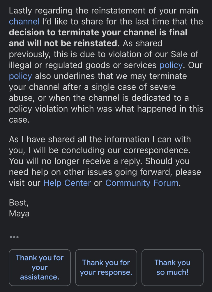 YouTube Terminated My Family Channel, this feels very personal - treatment image