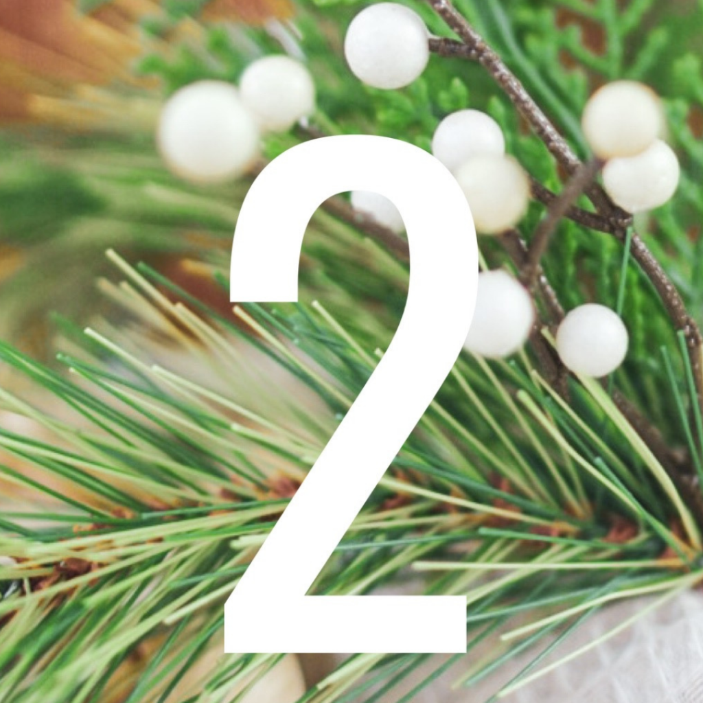 Day 2 Natural Kaos Holiday Giveaway! Microneedling Dr. Pen M8 🎁