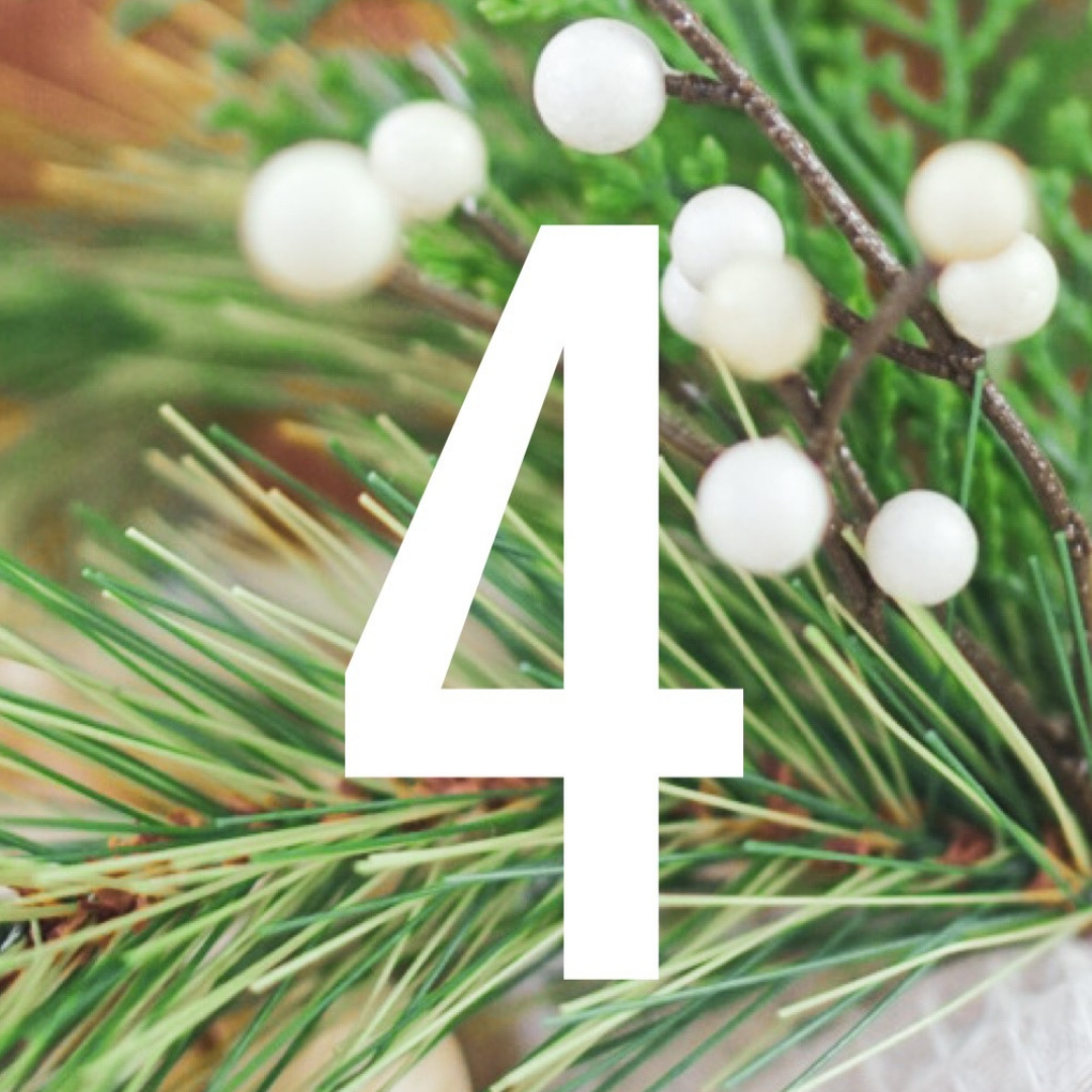 Day 4 Natural Kaos Holiday Giveaways! Hyaron & EZ Injector & Vline 🎁