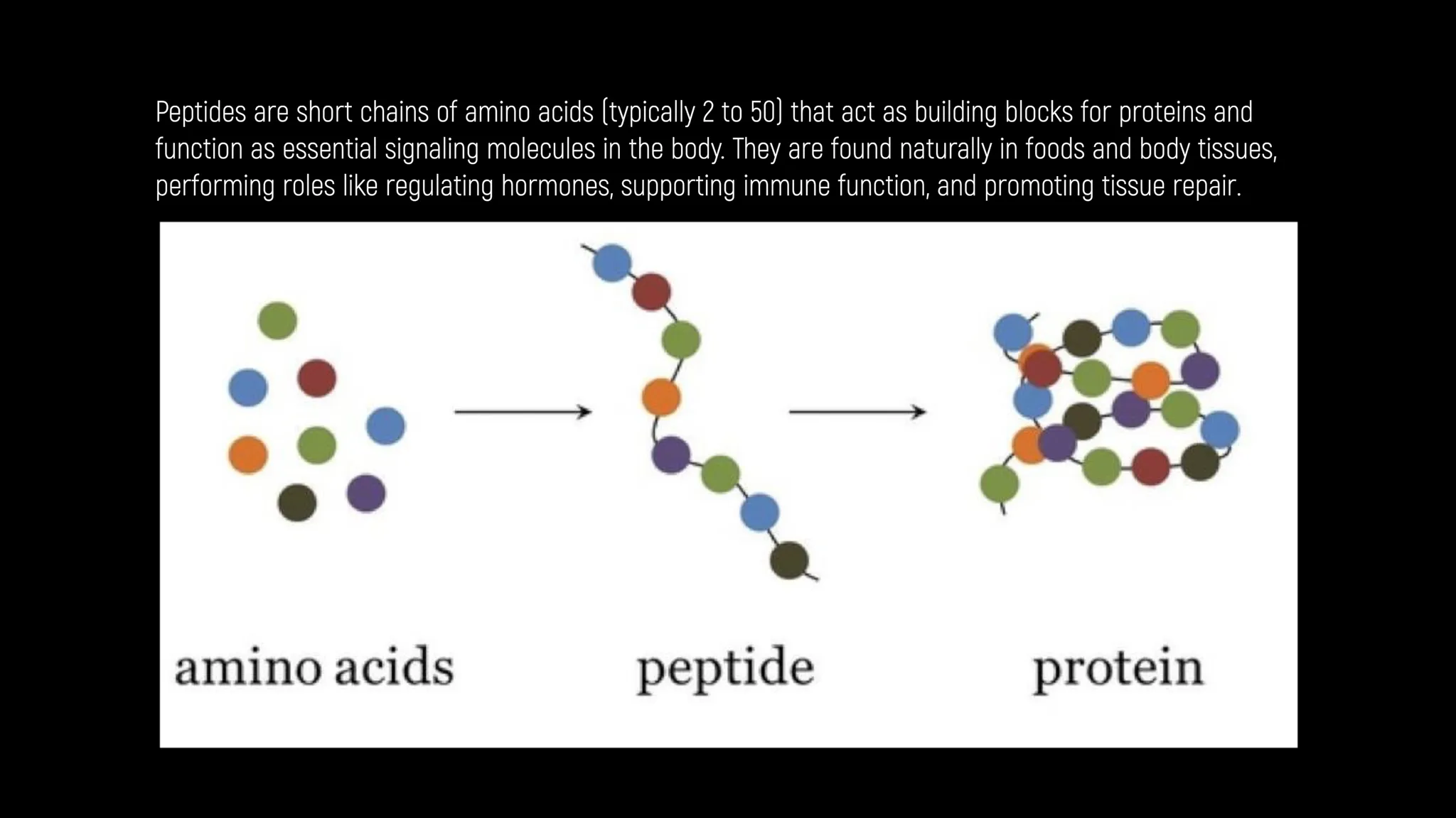 The History of Peptides: From Insulin to GLP-1 Medications Complete Guide