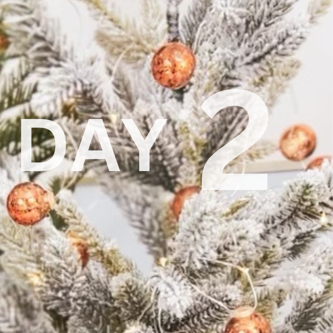 NATURAL KAOS HOLIDAY GIVEAWAY DAY 2 REVIVE SONIQUE MINI