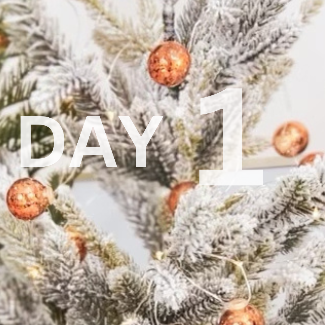 NATURAL KAOS HOLIDAY GIVEAWAY DAY 1 MAYSAMA SKINCARE
