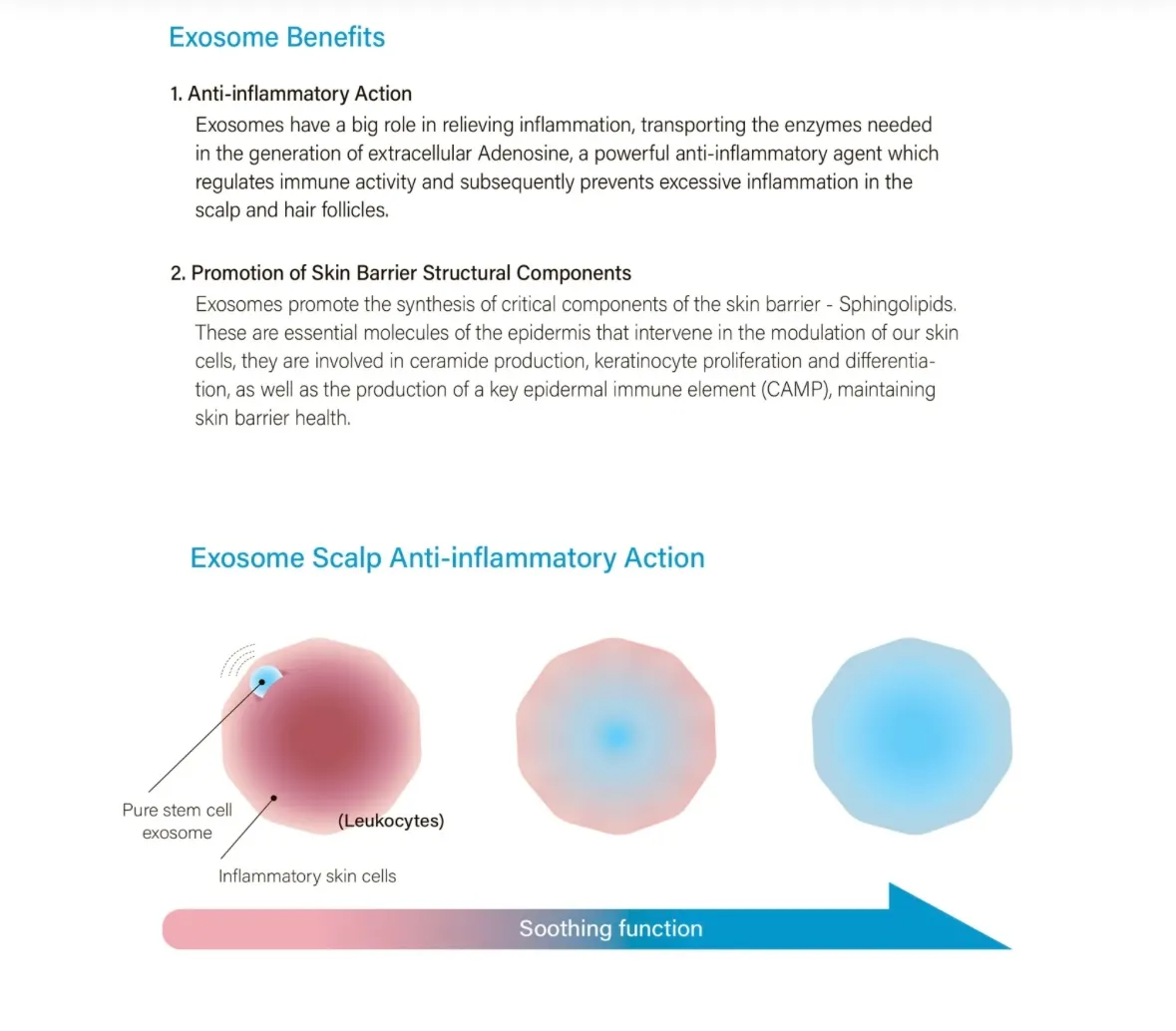 1st Microneedling & HAIRNA Exosome Hair Fill for Thicker, Fuller Hair! - treatment image