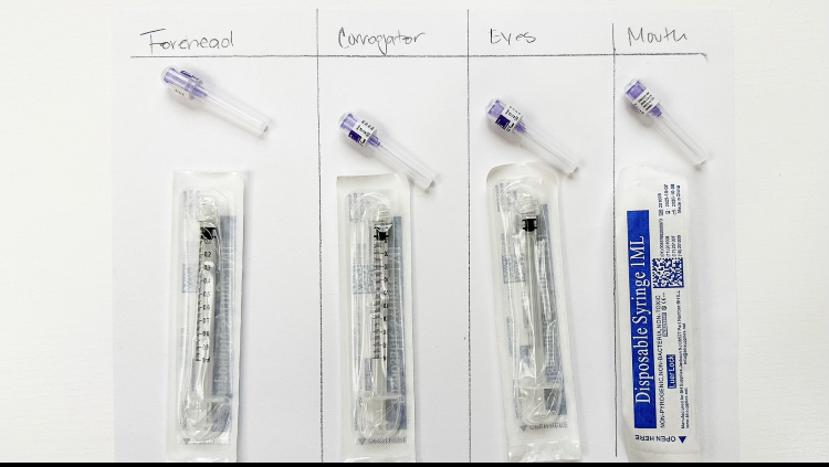 HAND MESOTHERAPY HP CELL VITARAN & INNOTOX INJECTIONS - treatment image