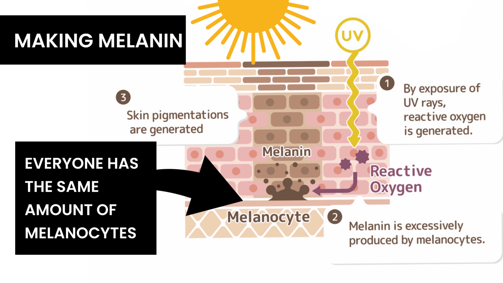 Using Melanotan to Prevent Polymorphous Light Eruption aka SUN POISONING - treatment image