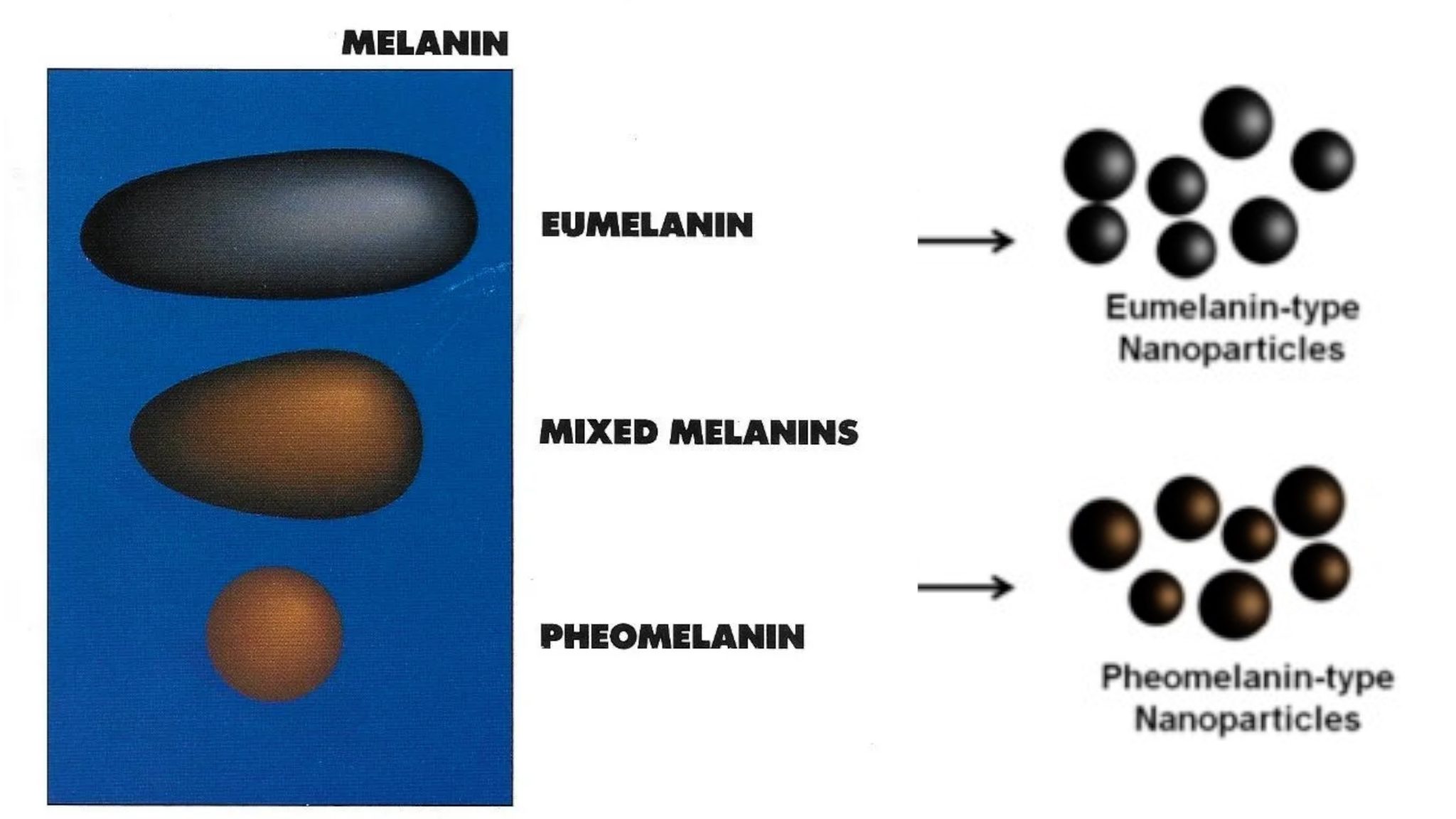 Using Melanotan to Prevent Polymorphous Light Eruption aka SUN POISONING - treatment image