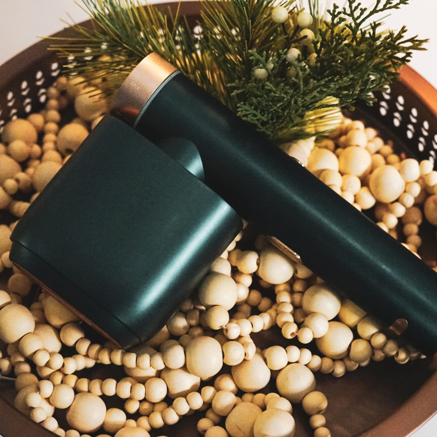 HOliDAY GIFT GUIDE 2022 π - treatment image