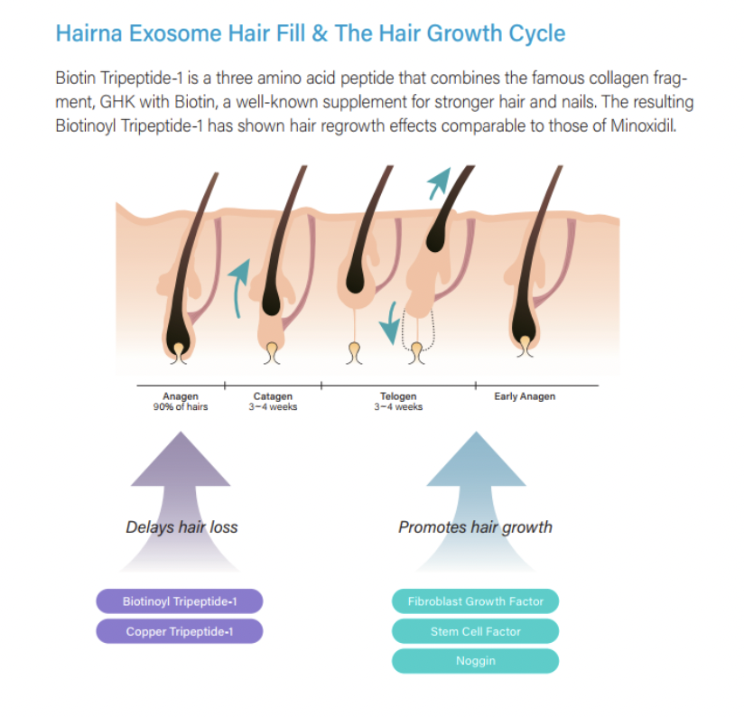 HAIRNA Exosome Hair Fill MESOTHERAPY - treatment image