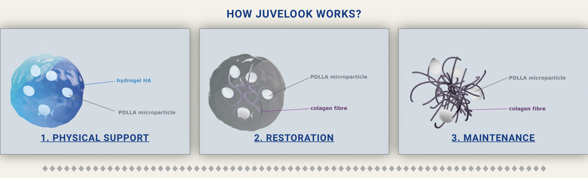 JUVELOOK PDLLA + HA