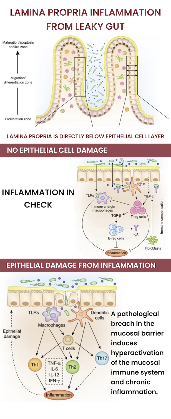 BPC157 + TB500: CAN THIS COMBO HEAL LEAKY GUT? - treatment image