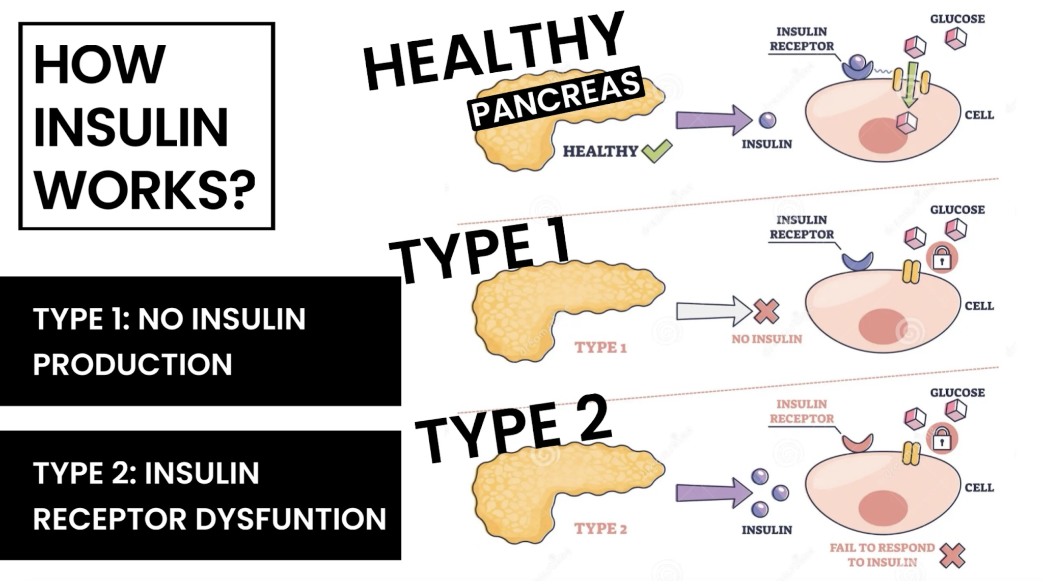 GLP1s SEMAGLUTIDE TIRZEPATIDE LIRAGLUTIDE - treatment image