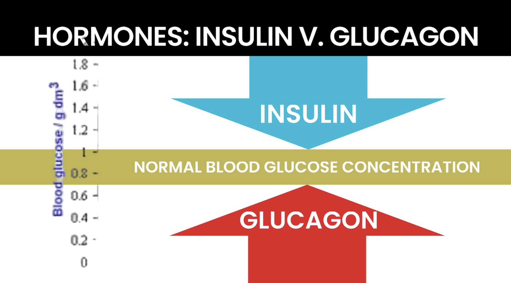 GLP1s SEMAGLUTIDE TIRZEPATIDE LIRAGLUTIDE - treatment image