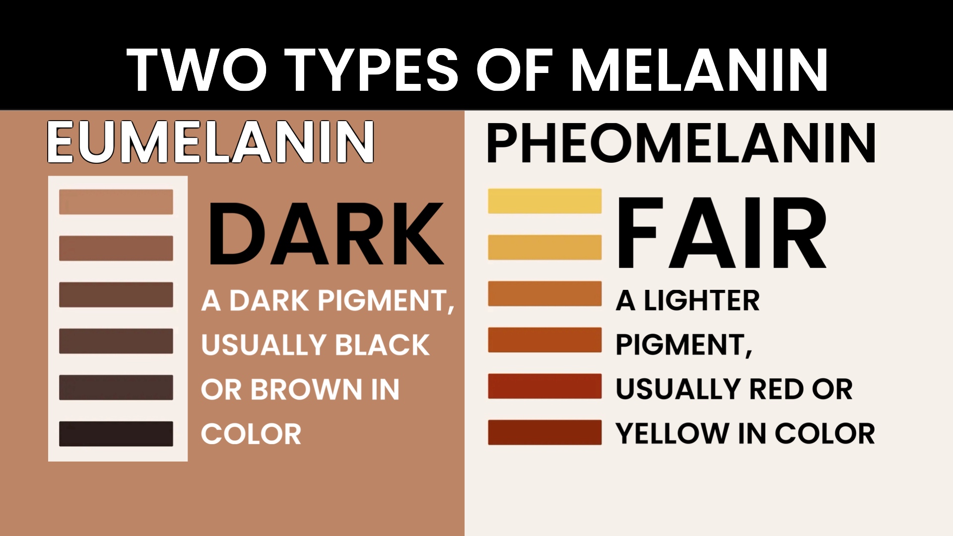 Using Melanotan to Prevent Polymorphous Light Eruption aka SUN POISONING - treatment image
