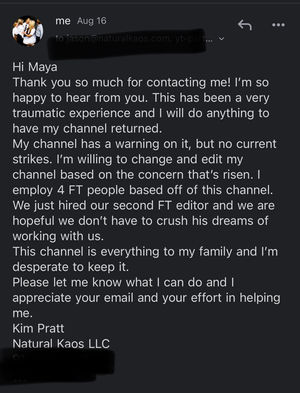 YouTube TERMINATED My Channel! 40 Million Views Without Warning, NO STRIKES - treatment image