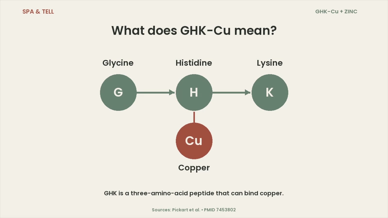Video diagram labeling glycine, histidine, lysine, and copper in GHK-Cu